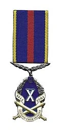 Medal "10 years to the Armed Forces of Ukraine"