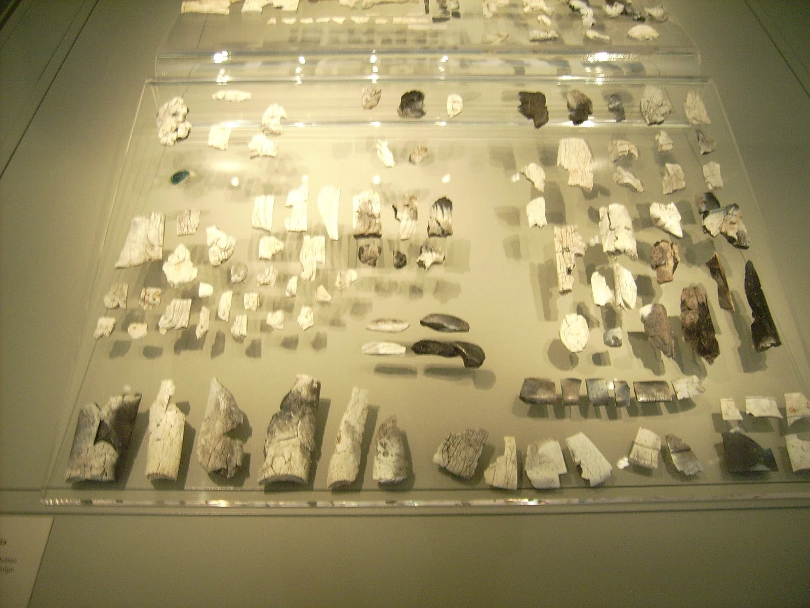 Antikensammlung Berlin