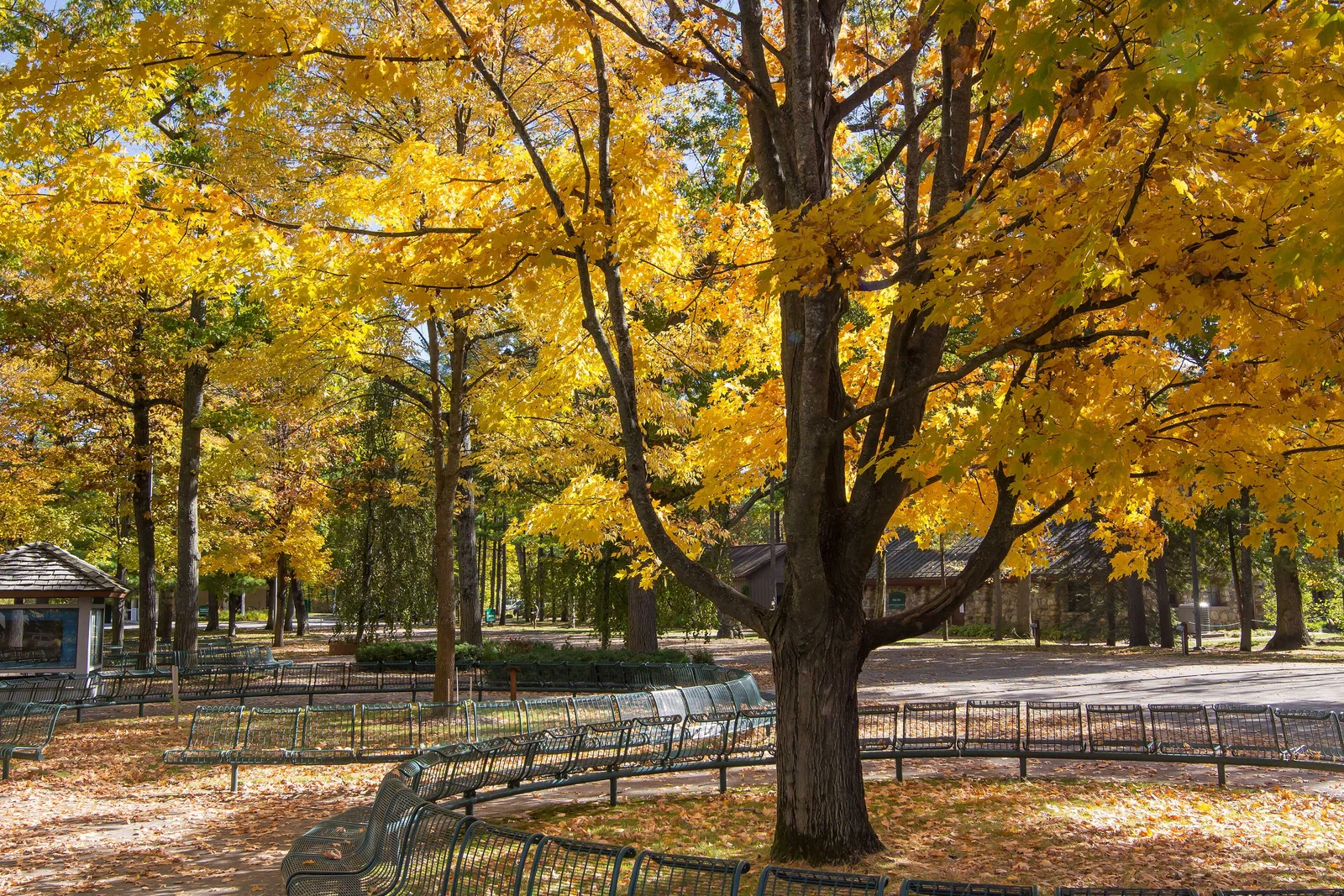 Interlochen Center for the Arts