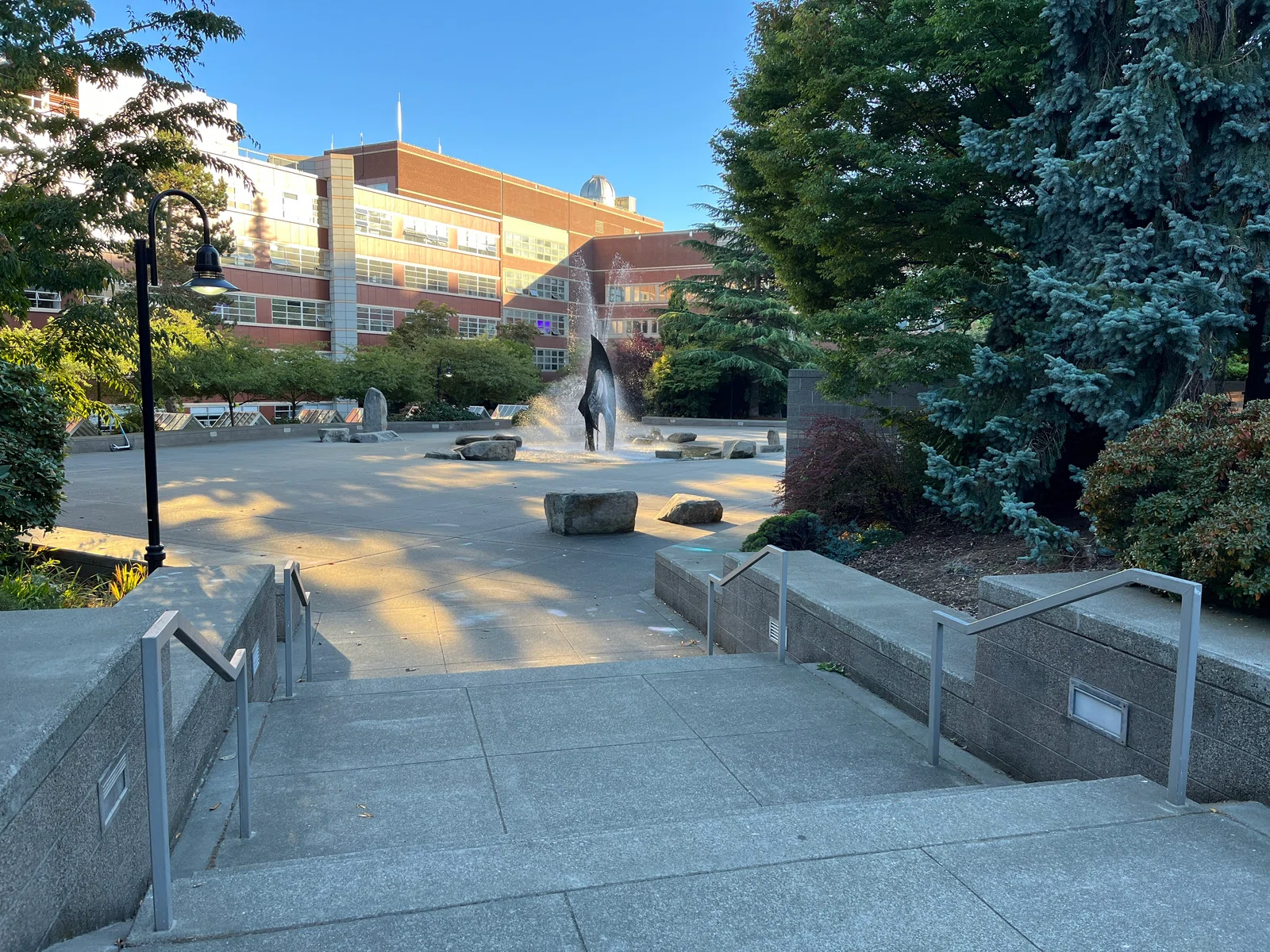 Seattle University