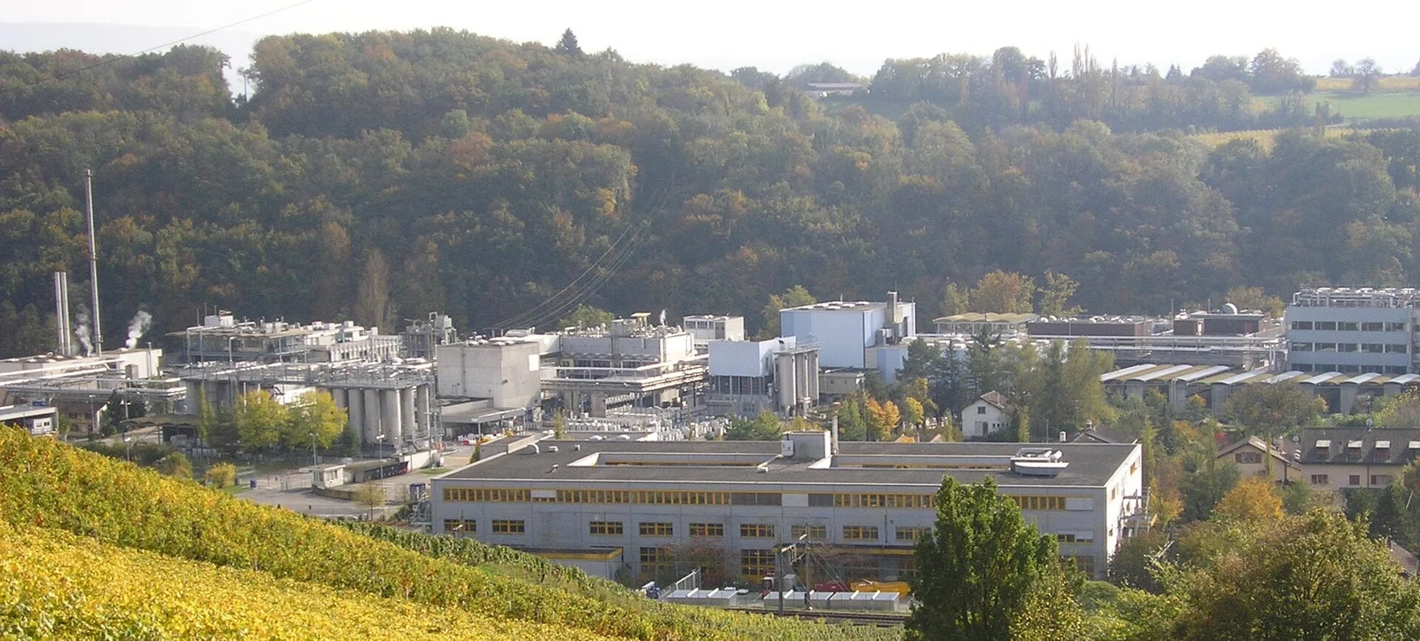 Firmenich