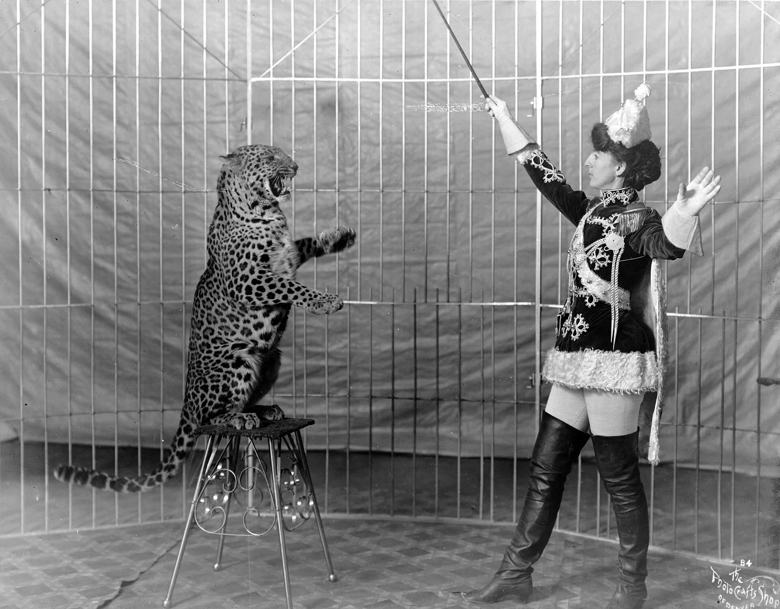 animal trainer
