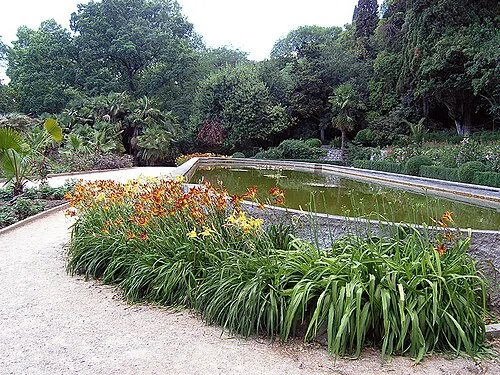 Nikitsky Botanical Garden