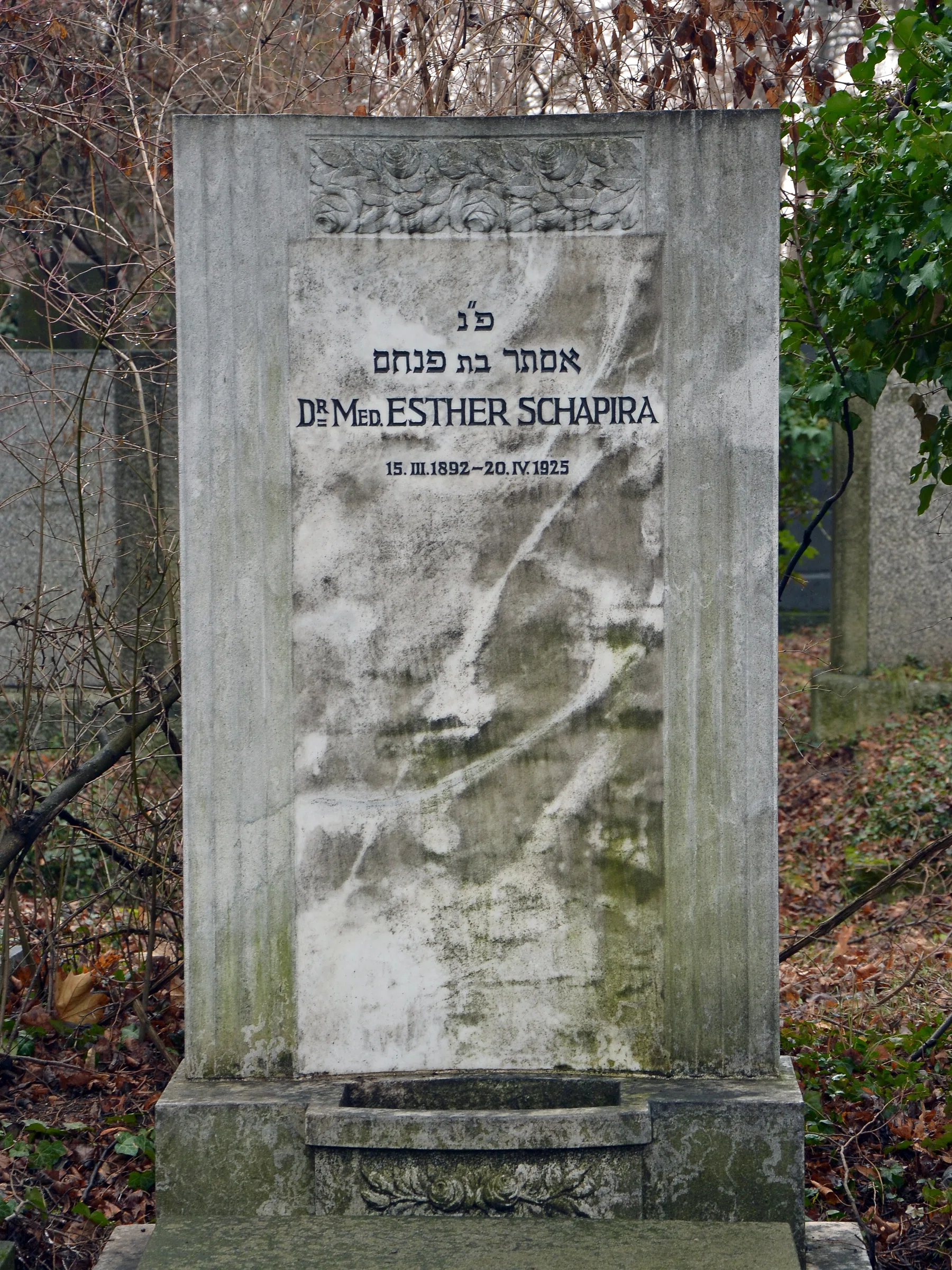 New Jewish Cemetery