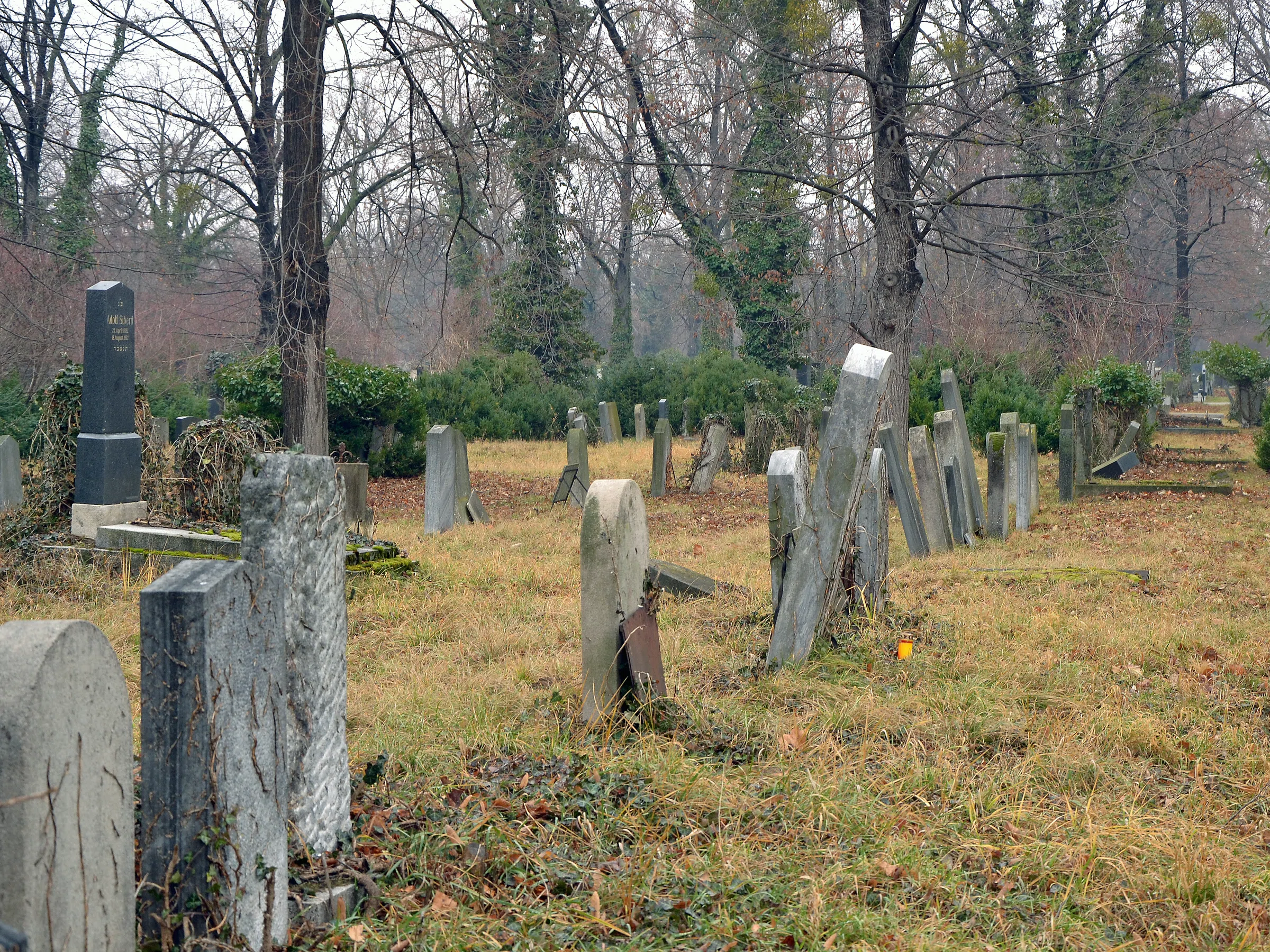 New Jewish Cemetery