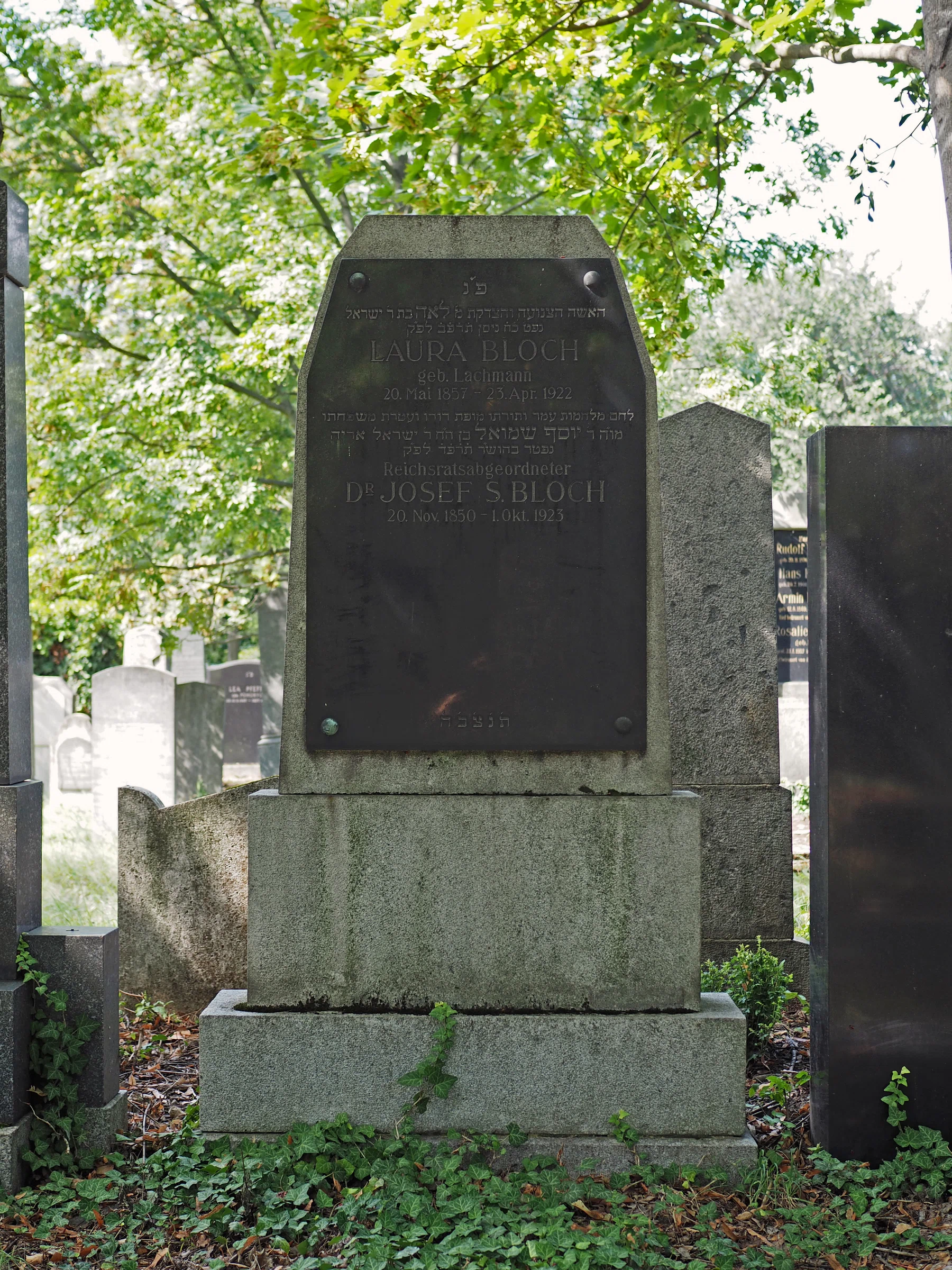 New Jewish Cemetery
