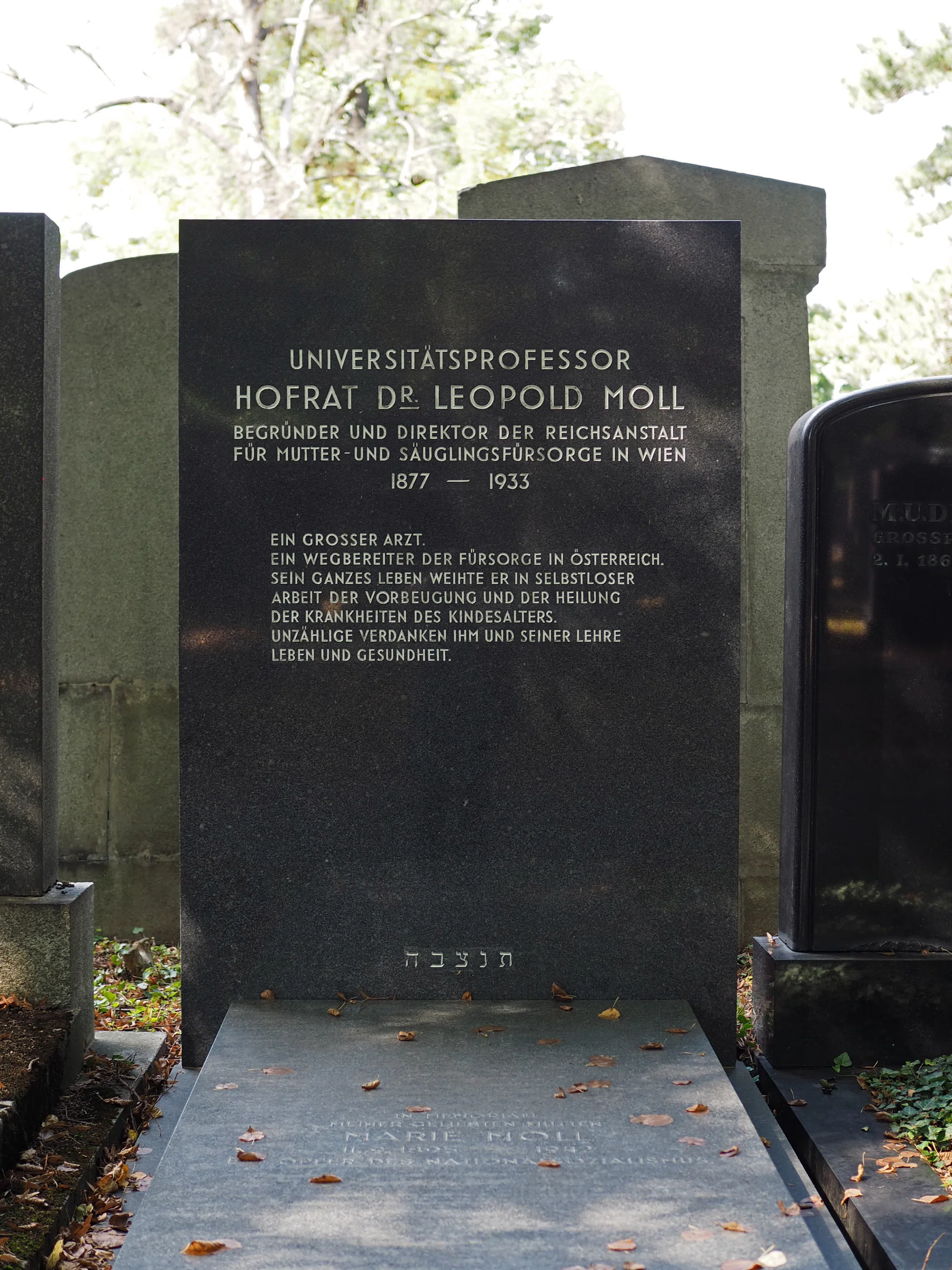 New Jewish Cemetery