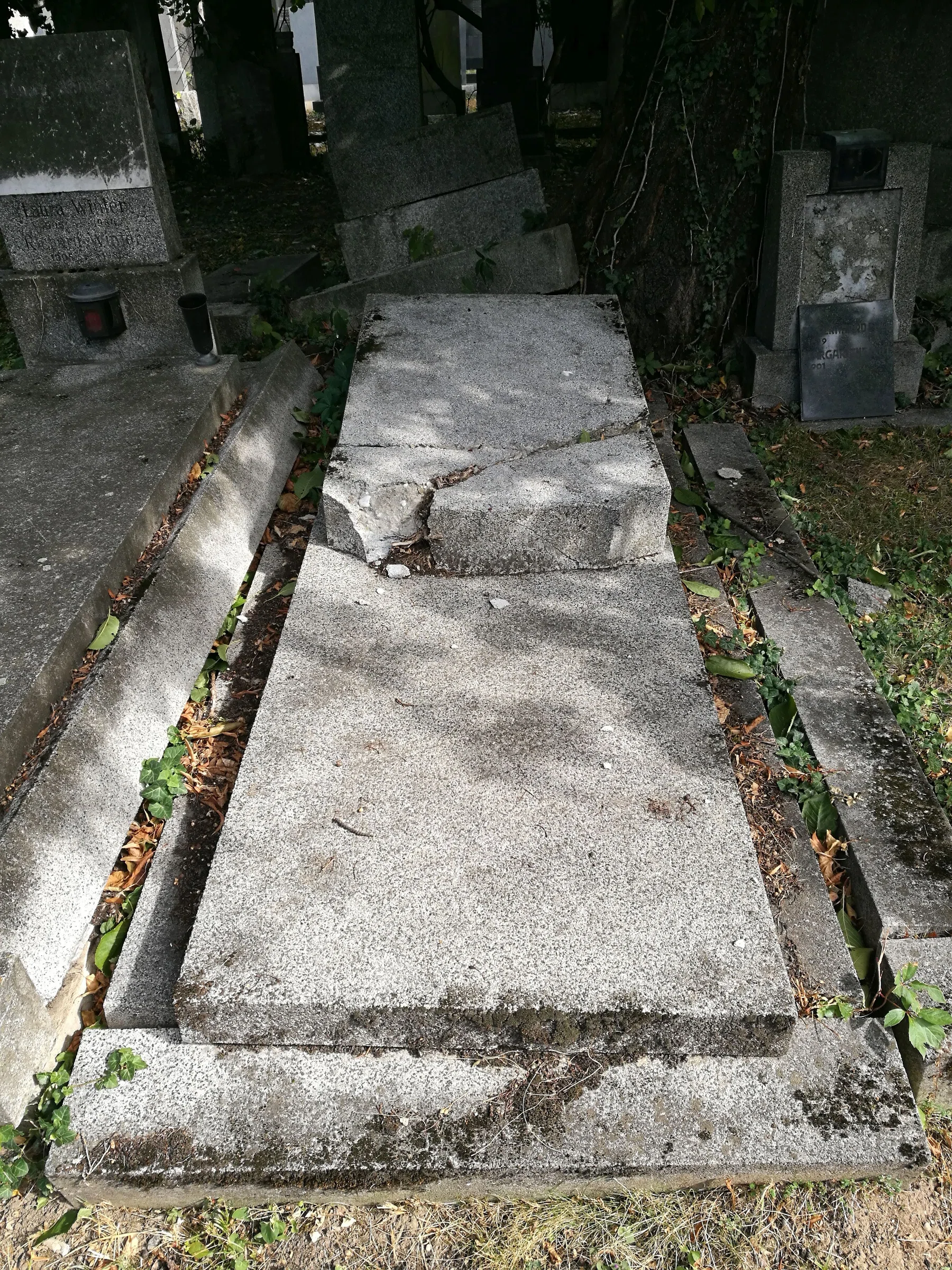 New Jewish Cemetery