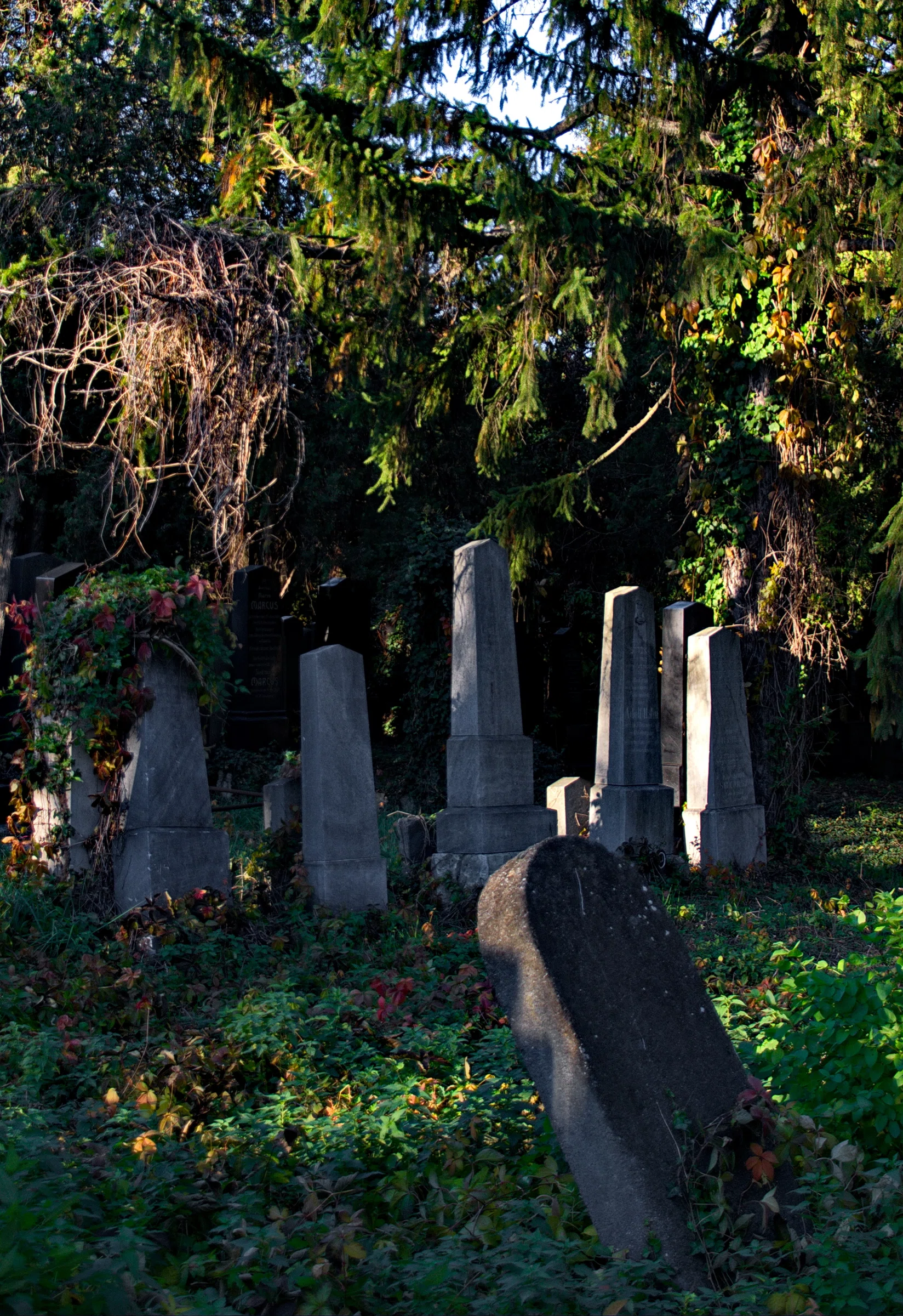 Old Jewish Cemetery