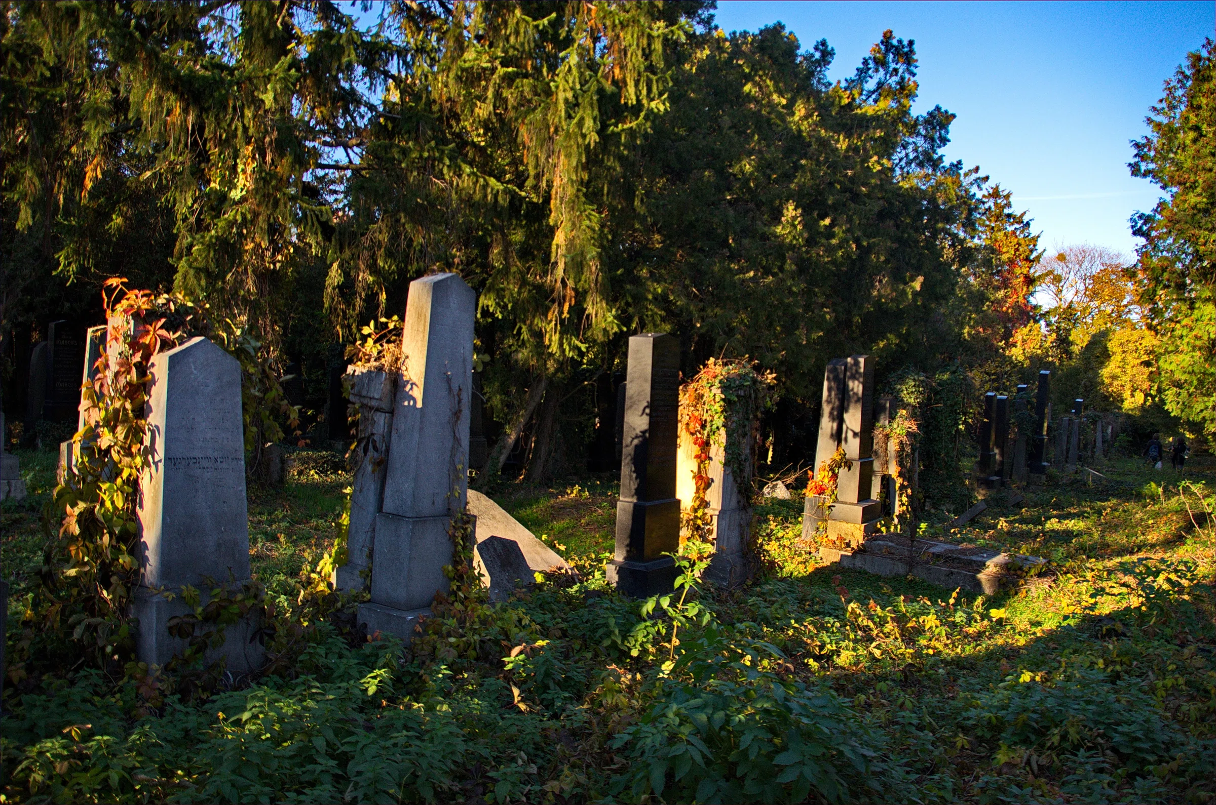 Old Jewish Cemetery
