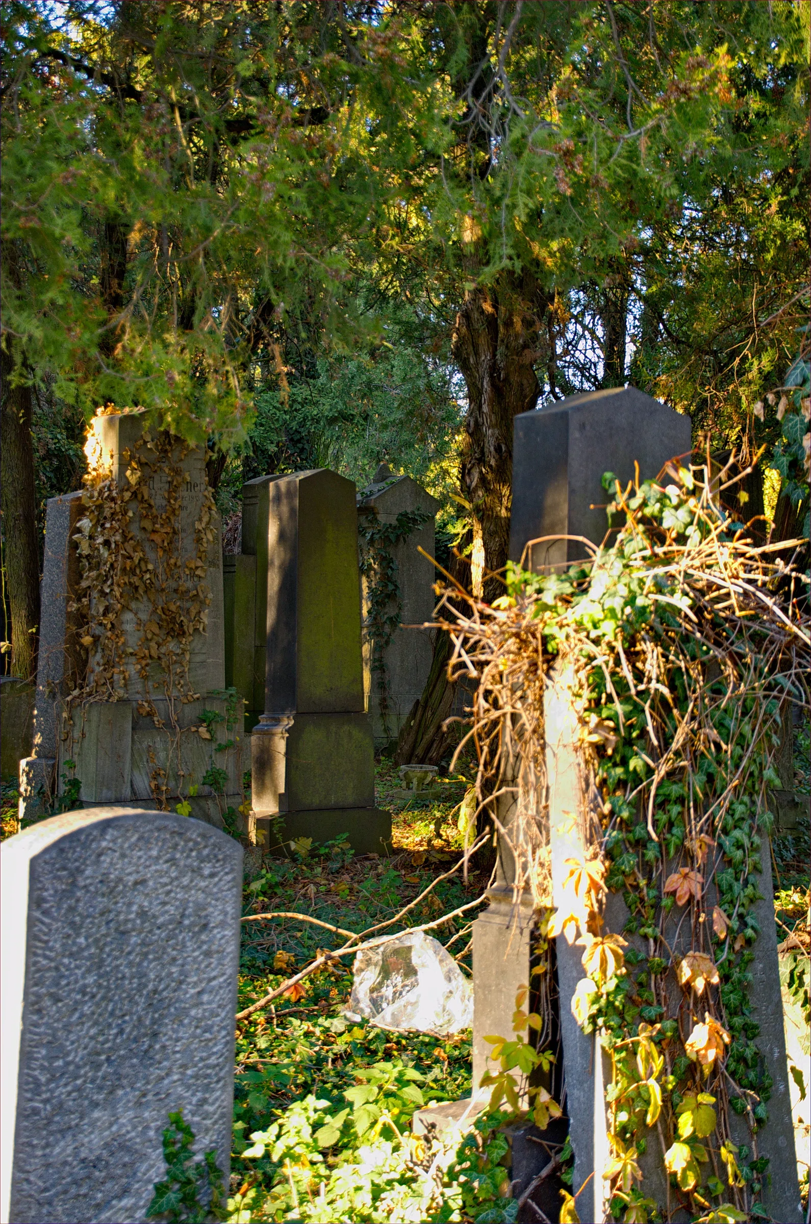 Old Jewish Cemetery