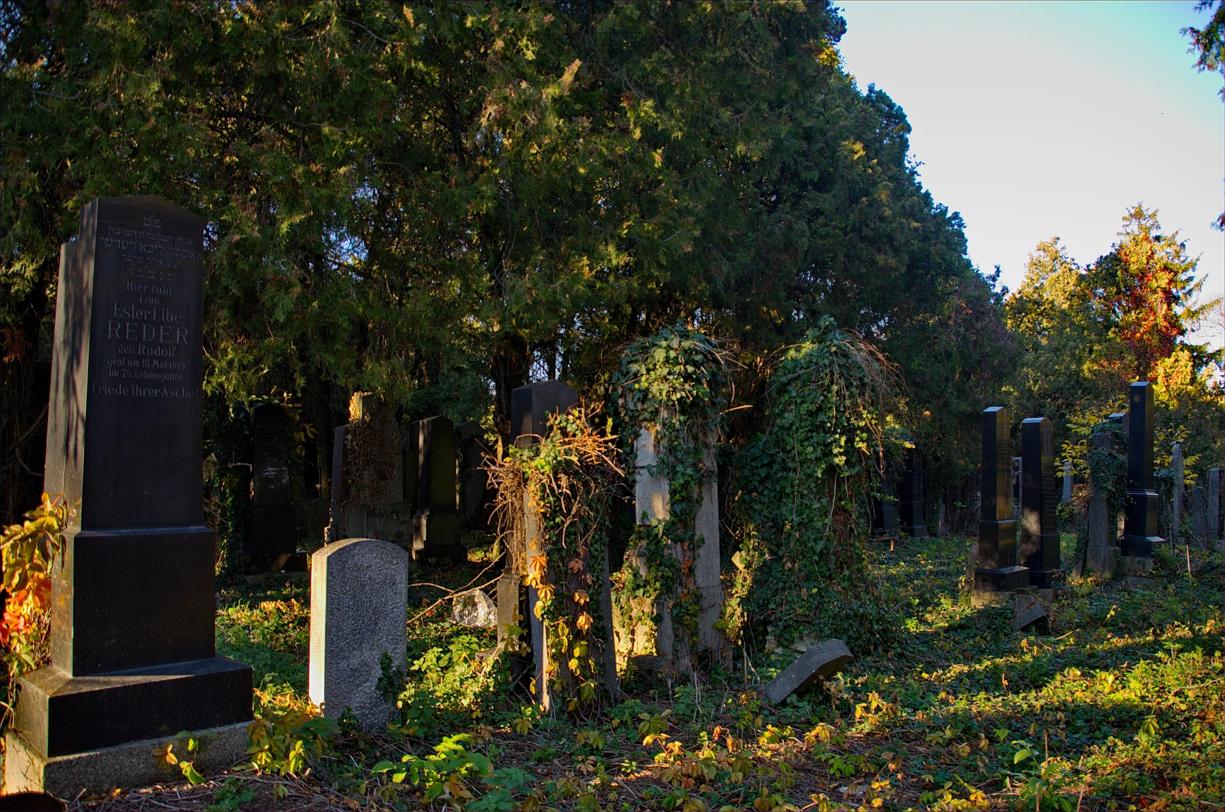 Old Jewish Cemetery