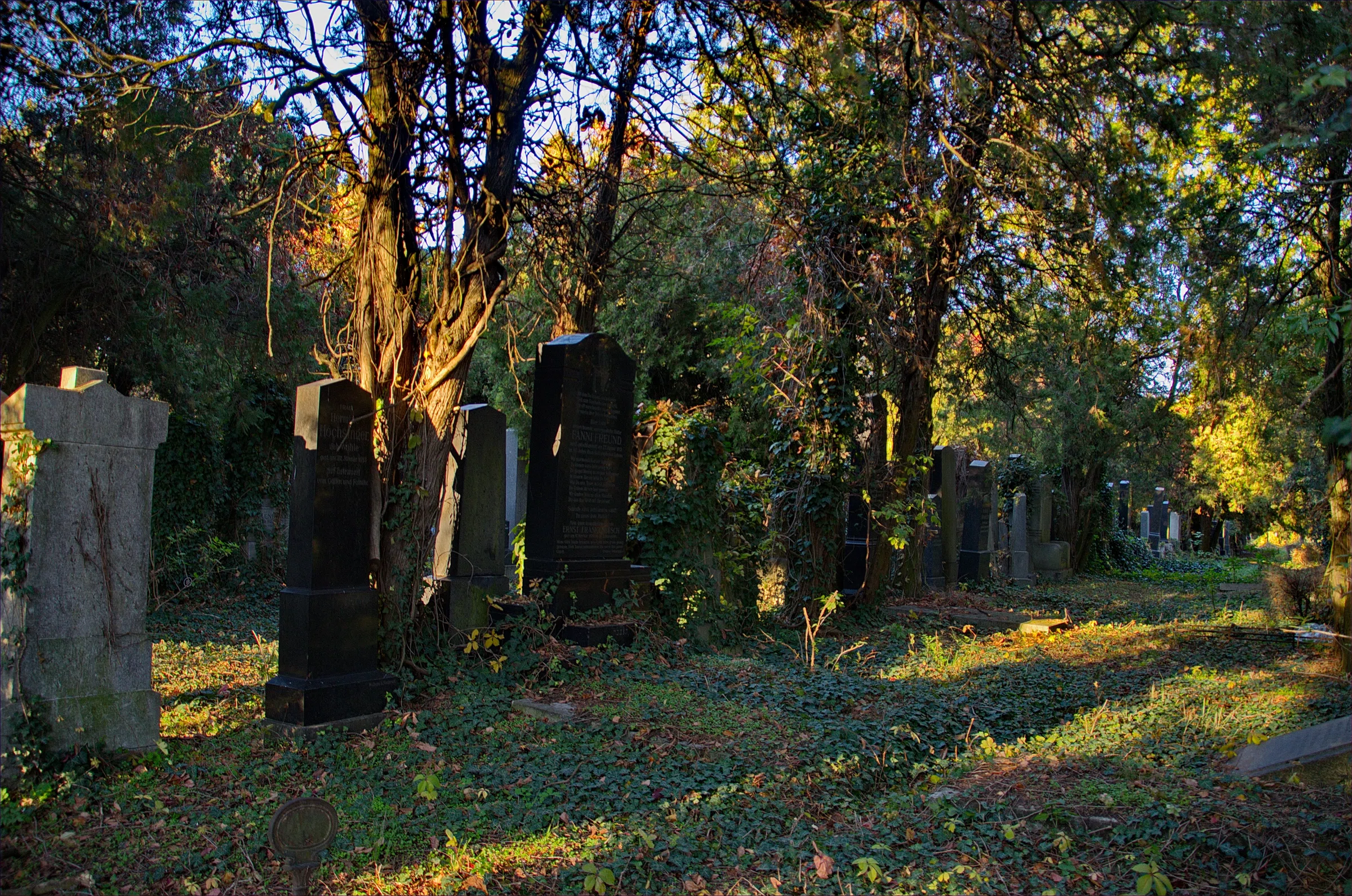 Old Jewish Cemetery