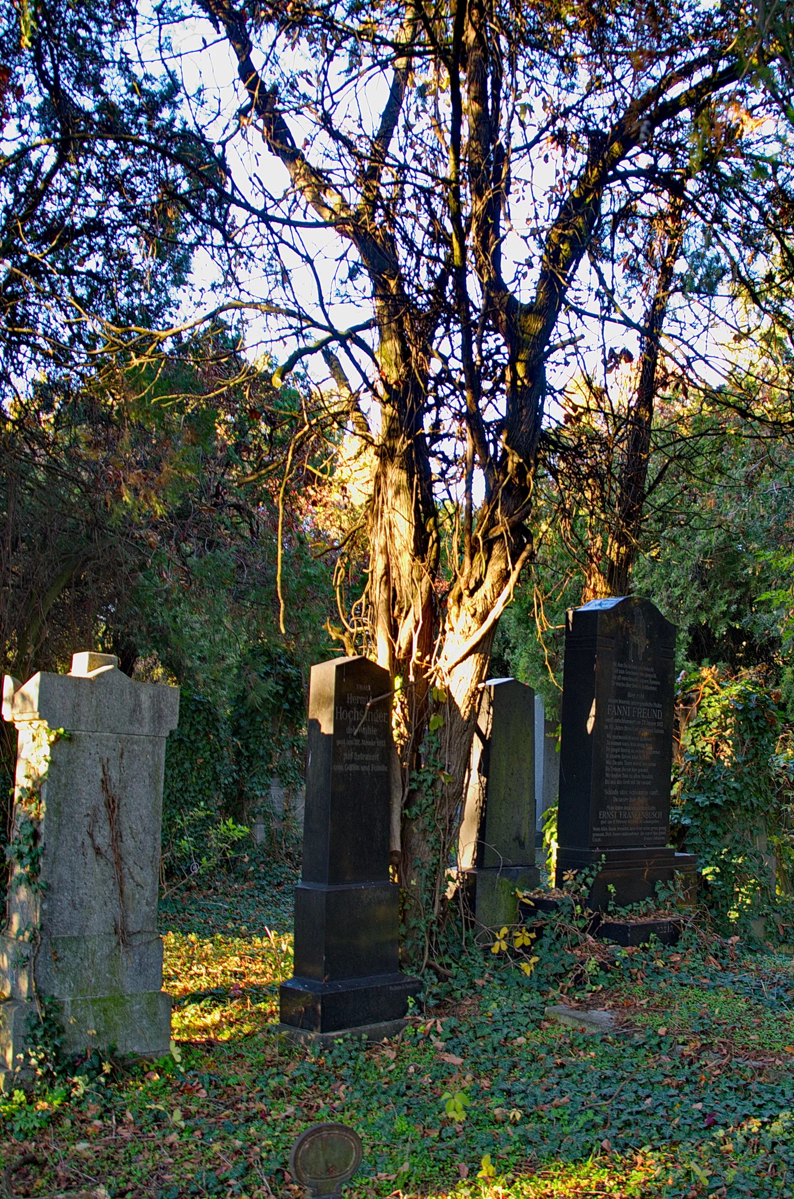 Old Jewish Cemetery