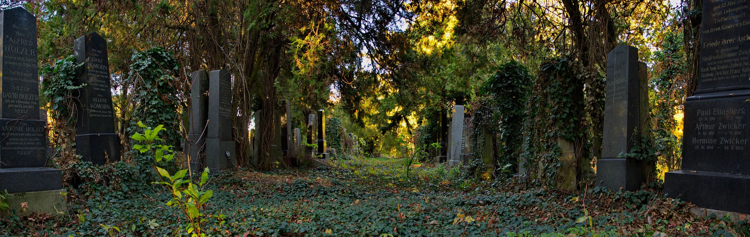 Old Jewish Cemetery