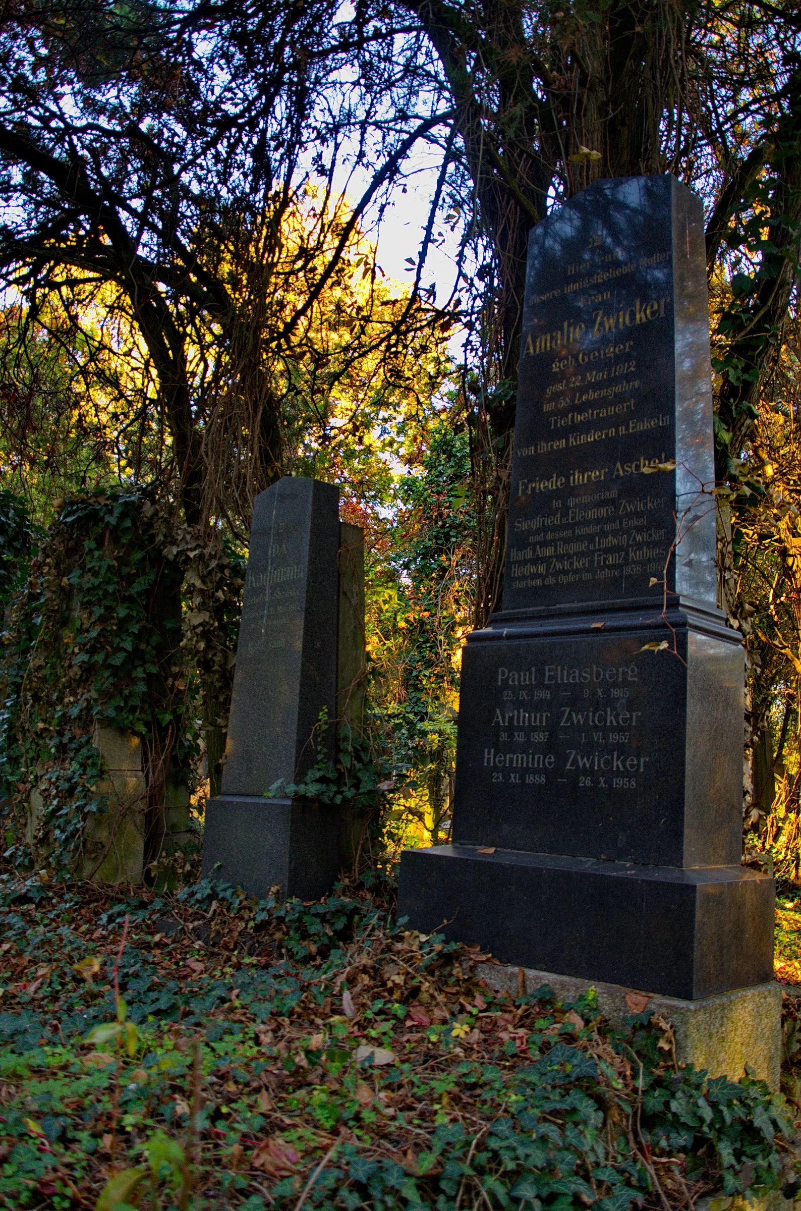 Old Jewish Cemetery