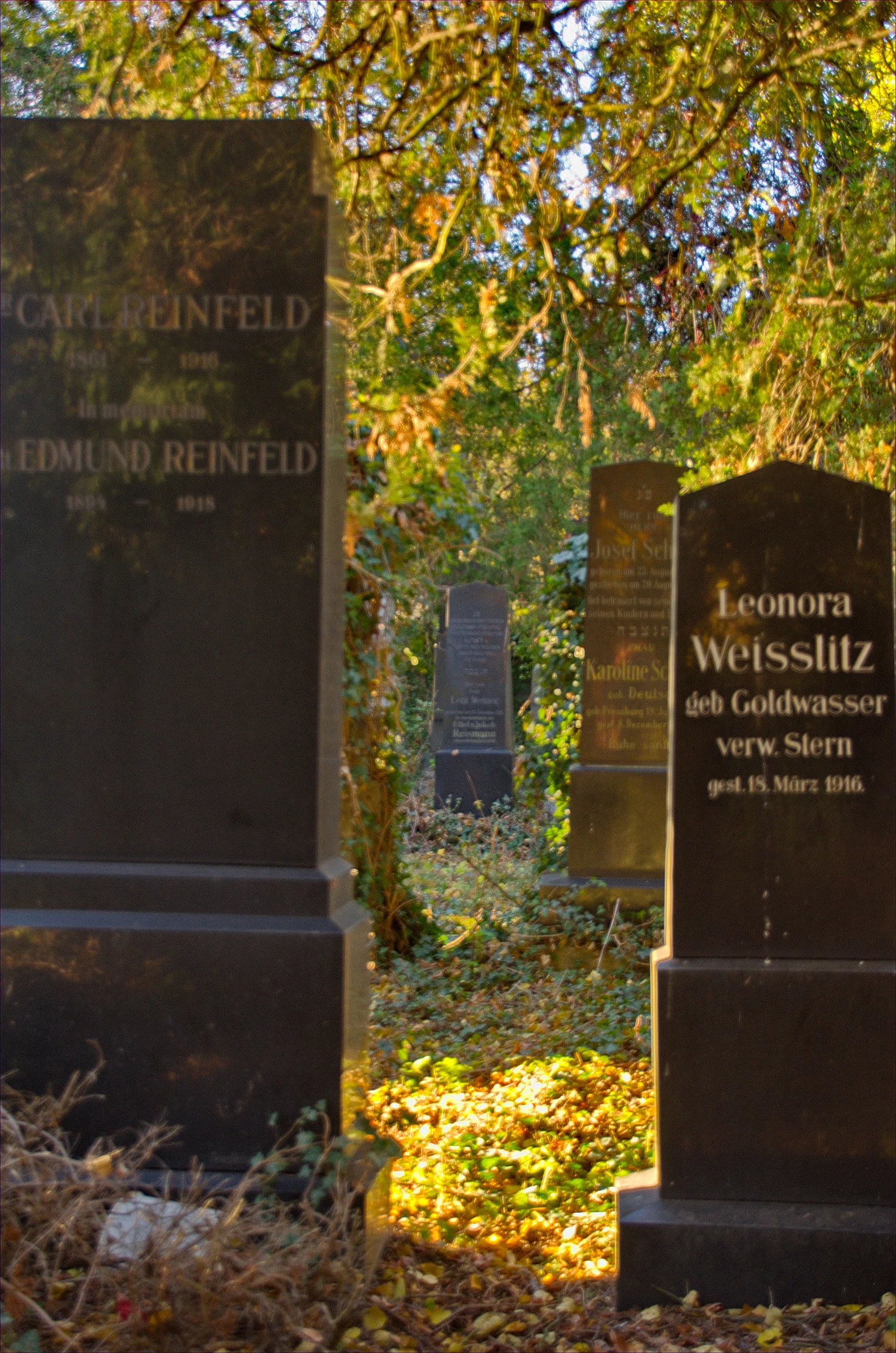 Old Jewish Cemetery
