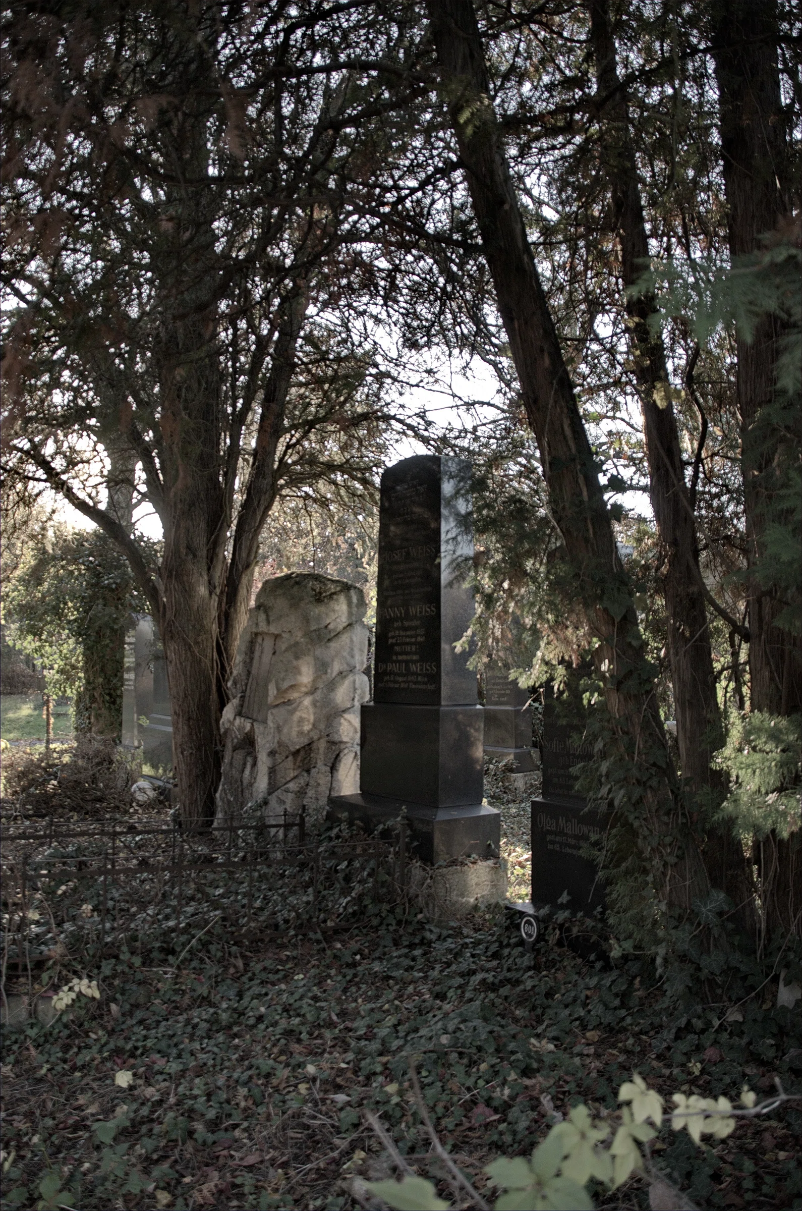 Old Jewish Cemetery