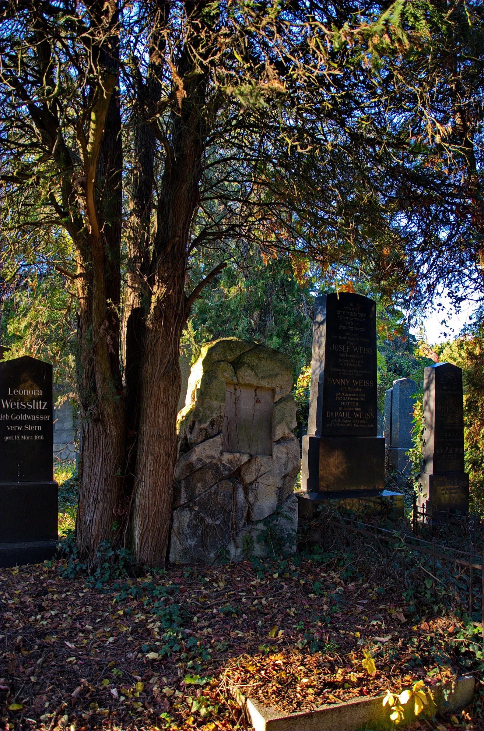 Old Jewish Cemetery