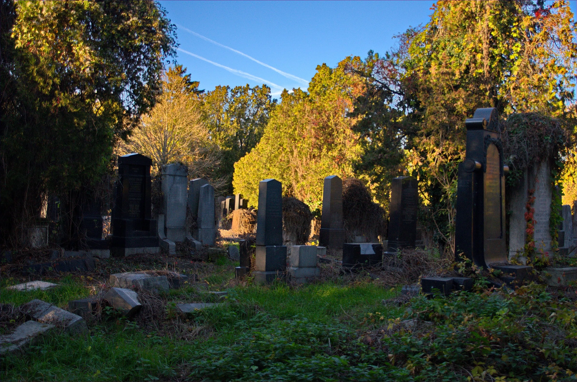 Old Jewish Cemetery