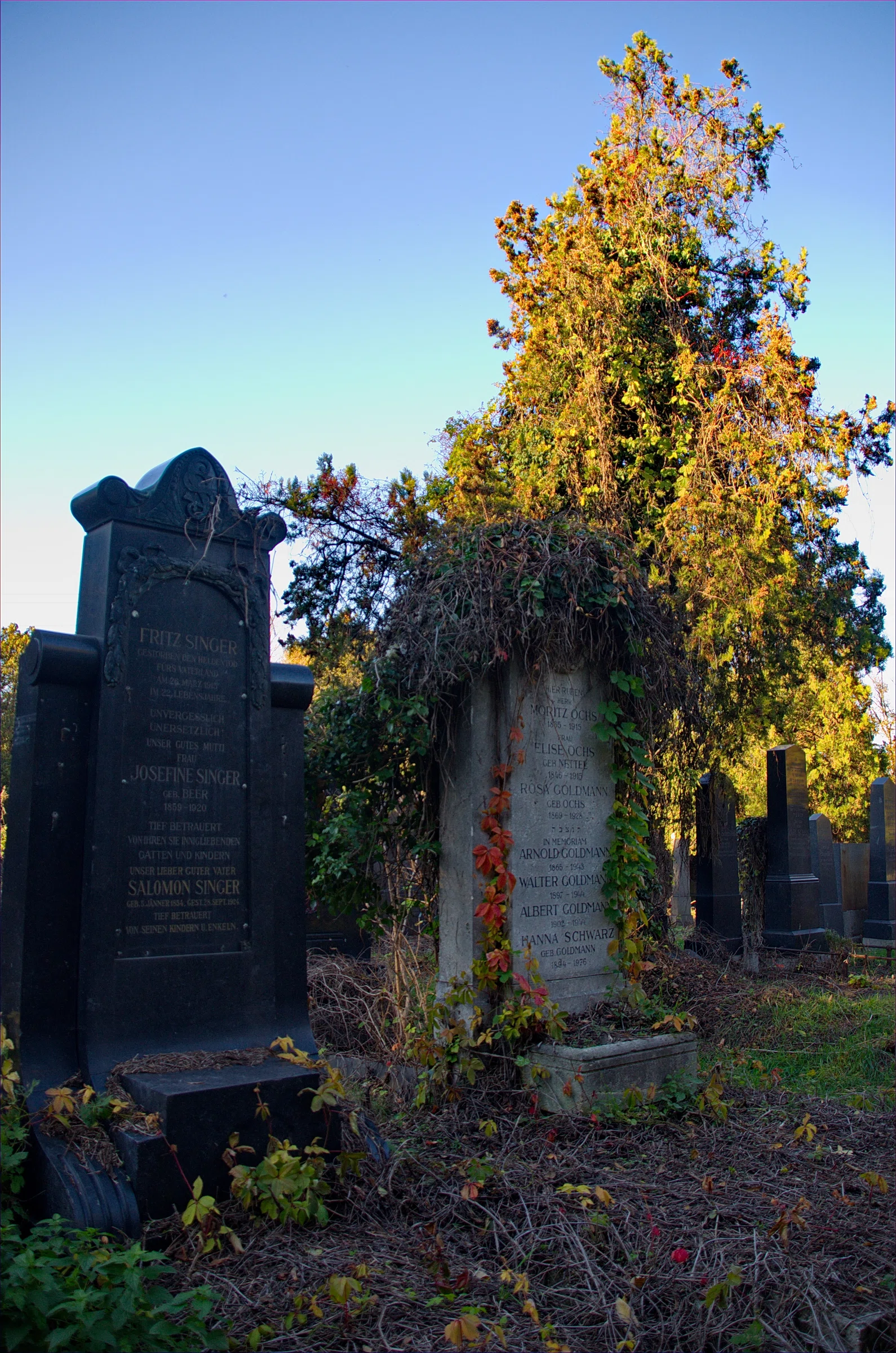Old Jewish Cemetery