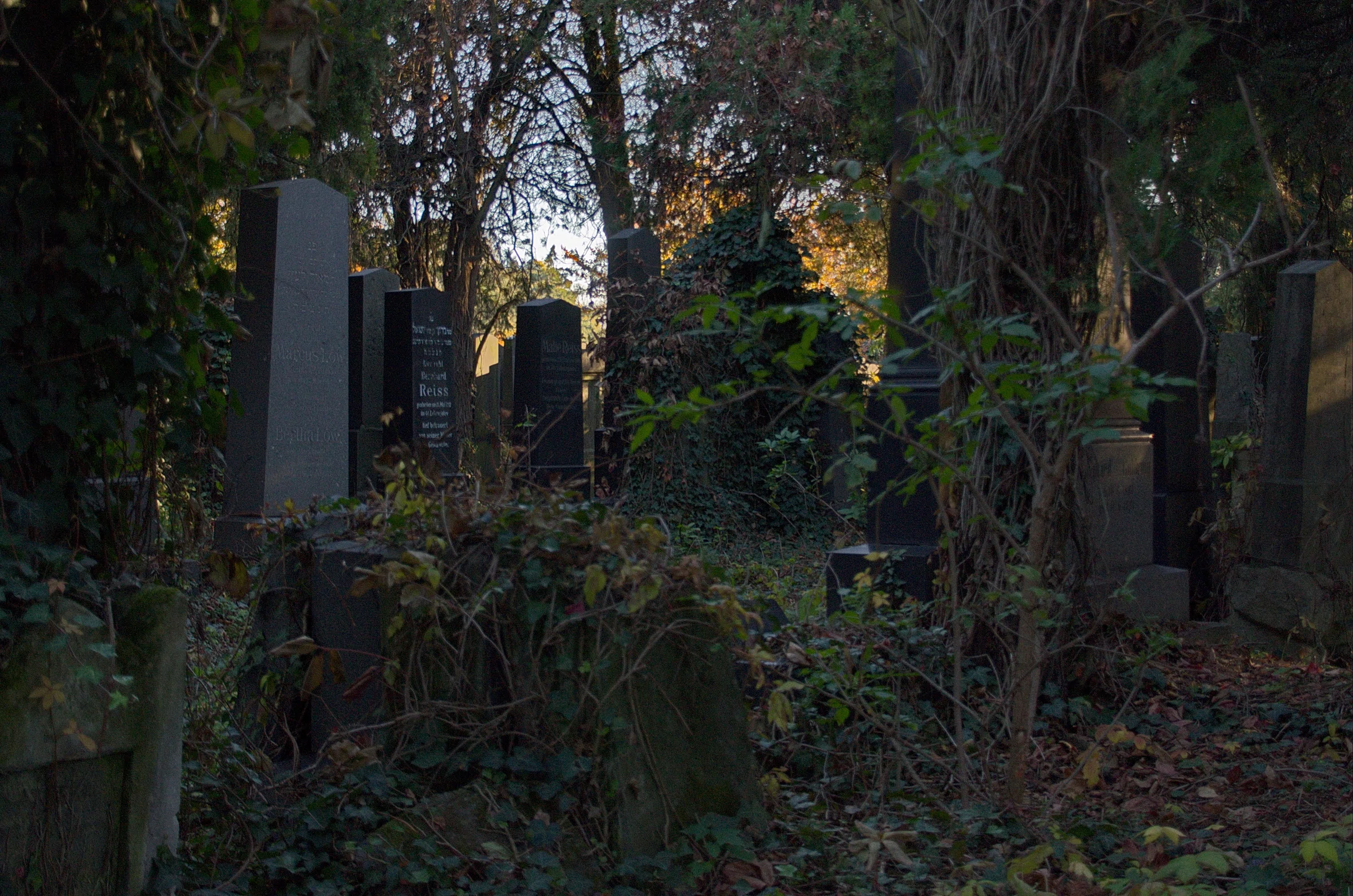 Old Jewish Cemetery