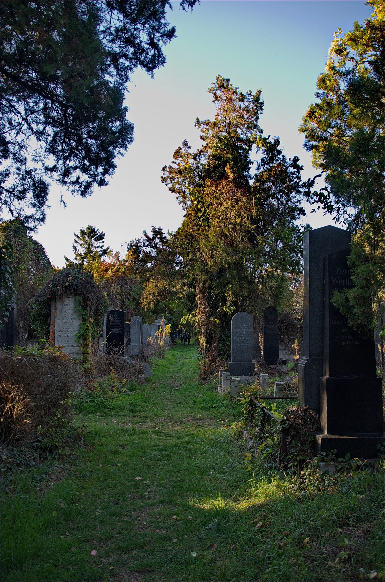 Old Jewish Cemetery