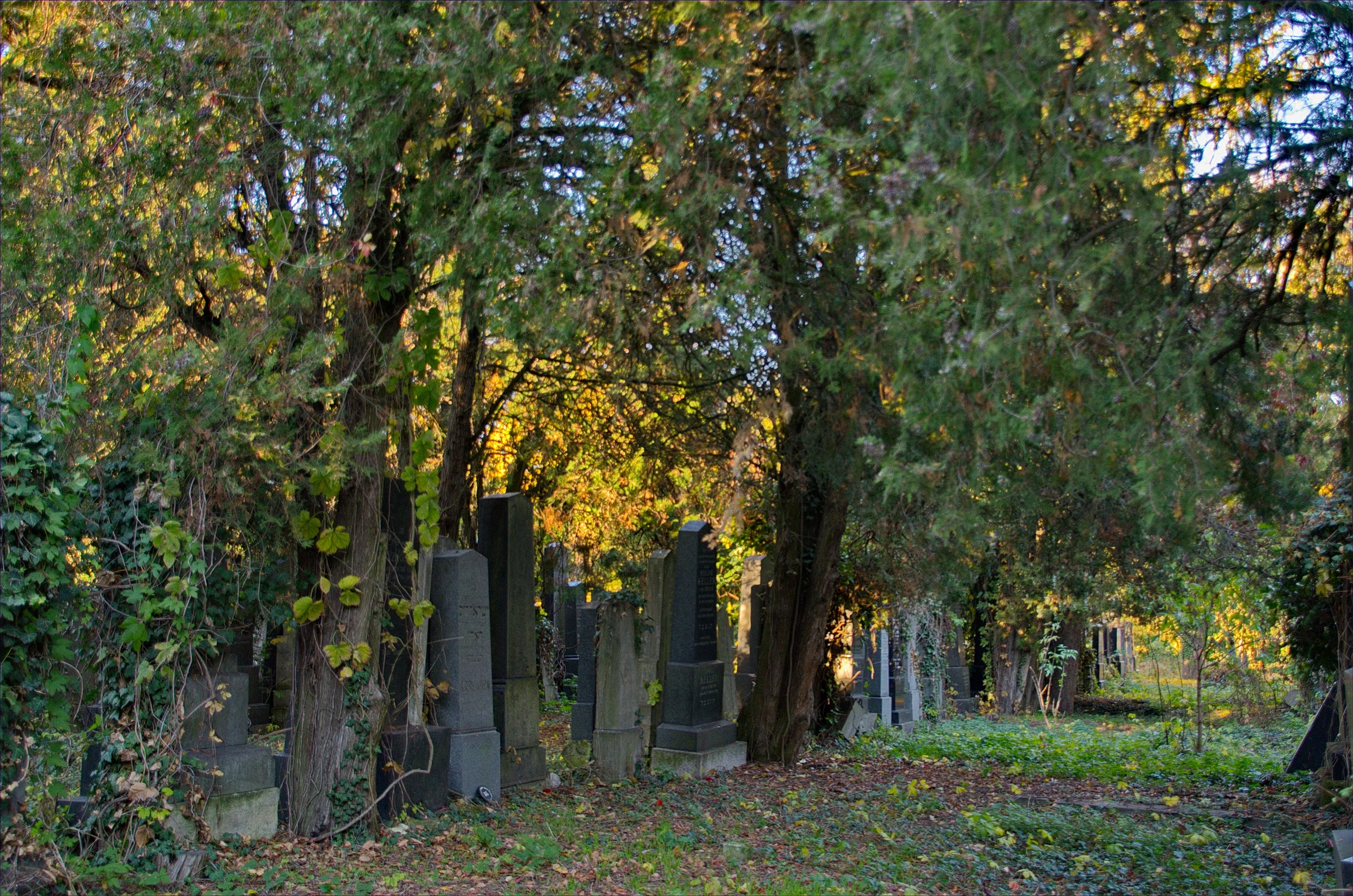 Old Jewish Cemetery