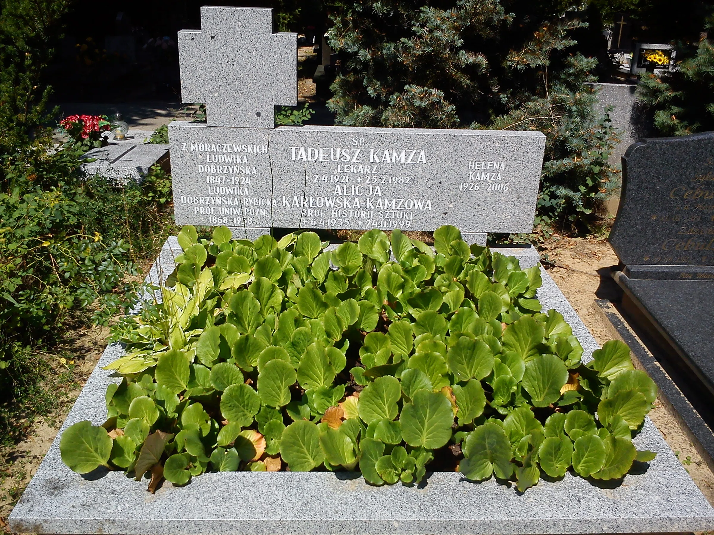 Jean-Marie Vianney cemetery in Poznań