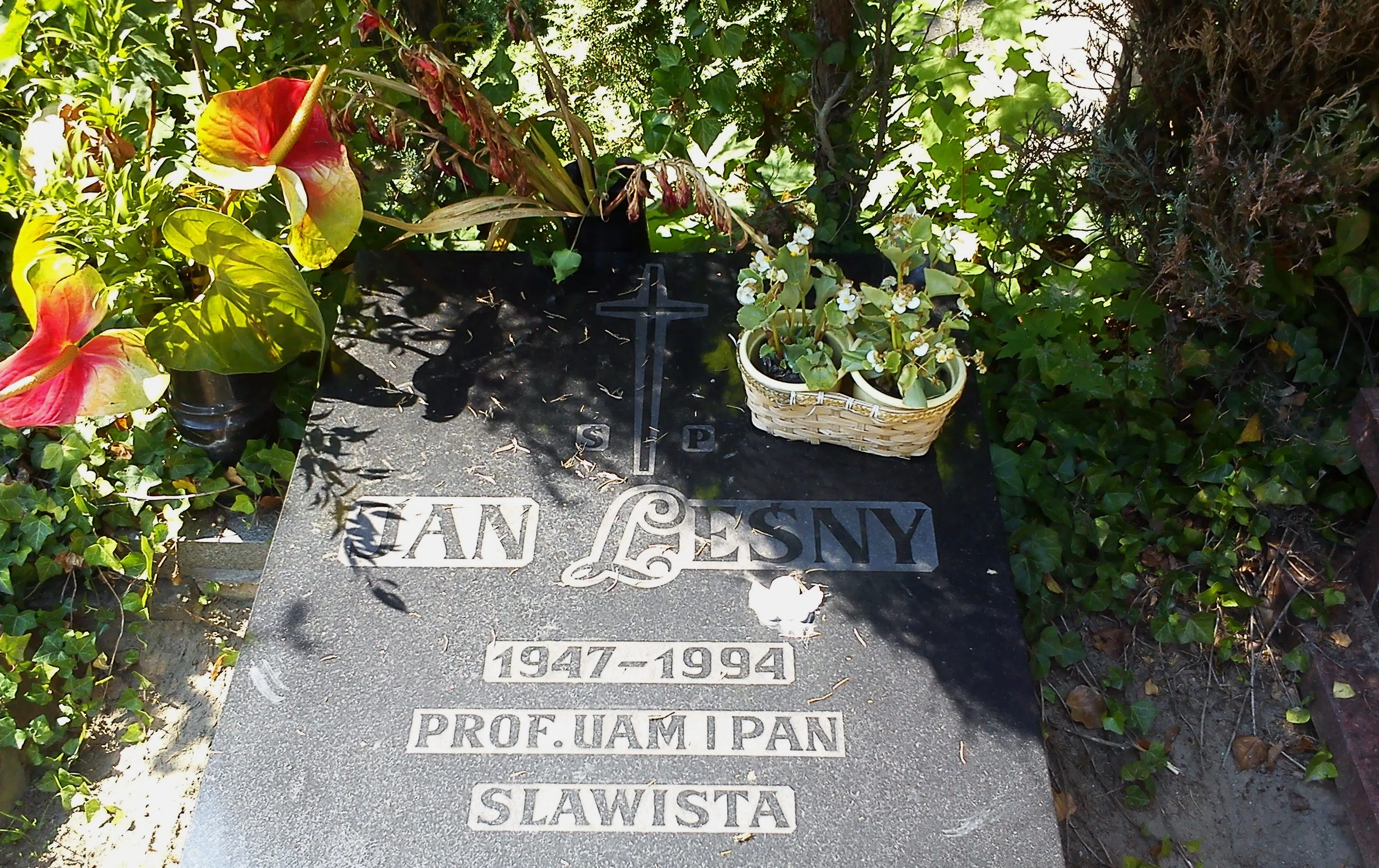 Jean-Marie Vianney cemetery in Poznań