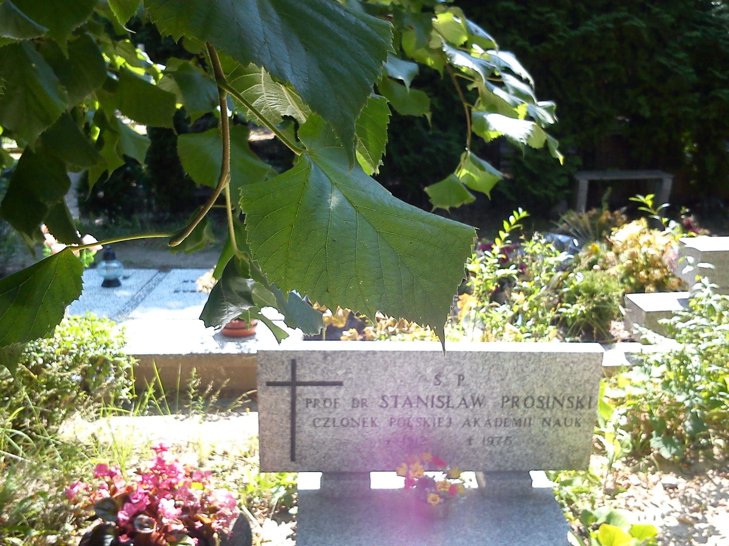 Jean-Marie Vianney cemetery in Poznań