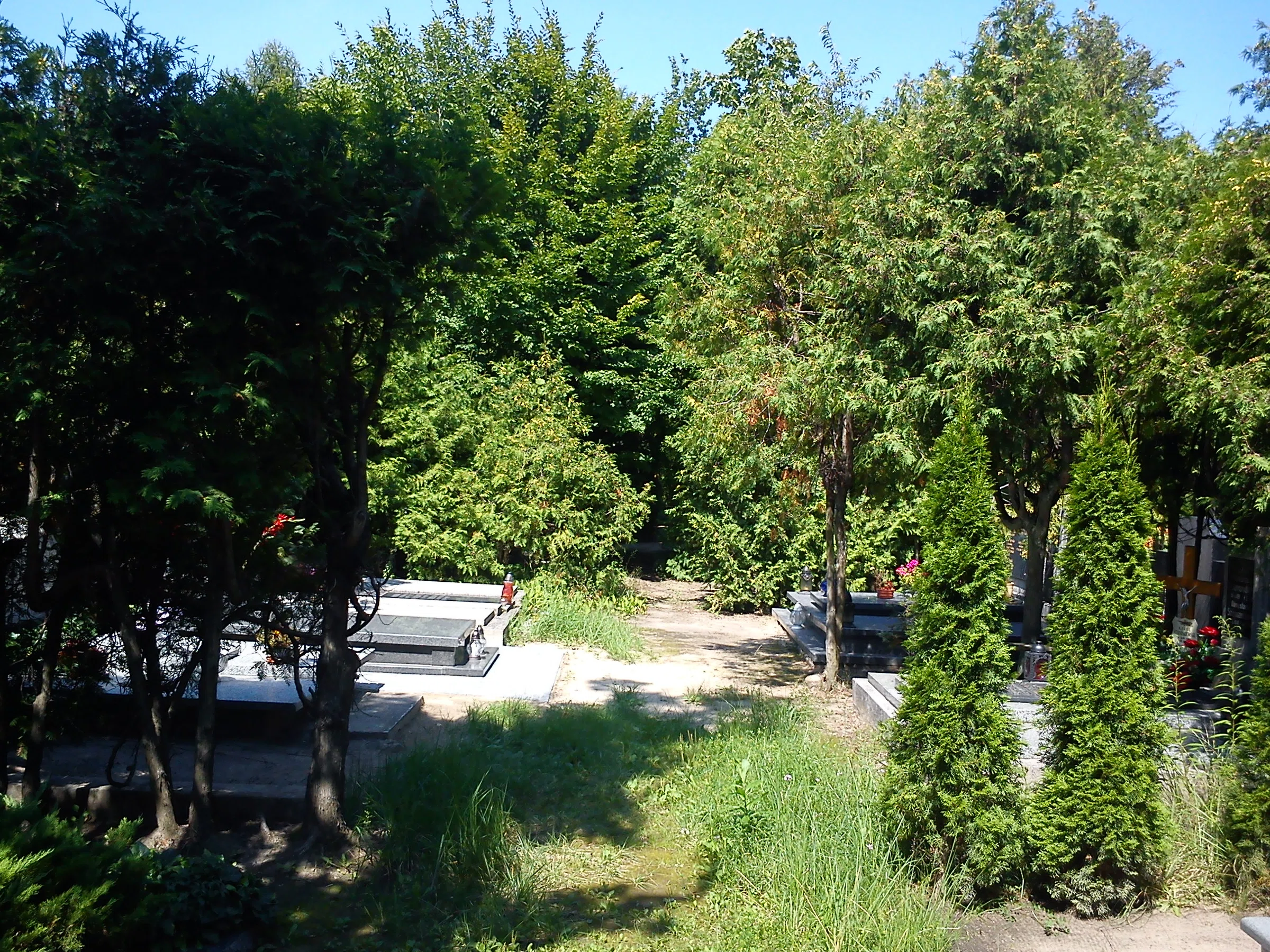 Jean-Marie Vianney cemetery in Poznań