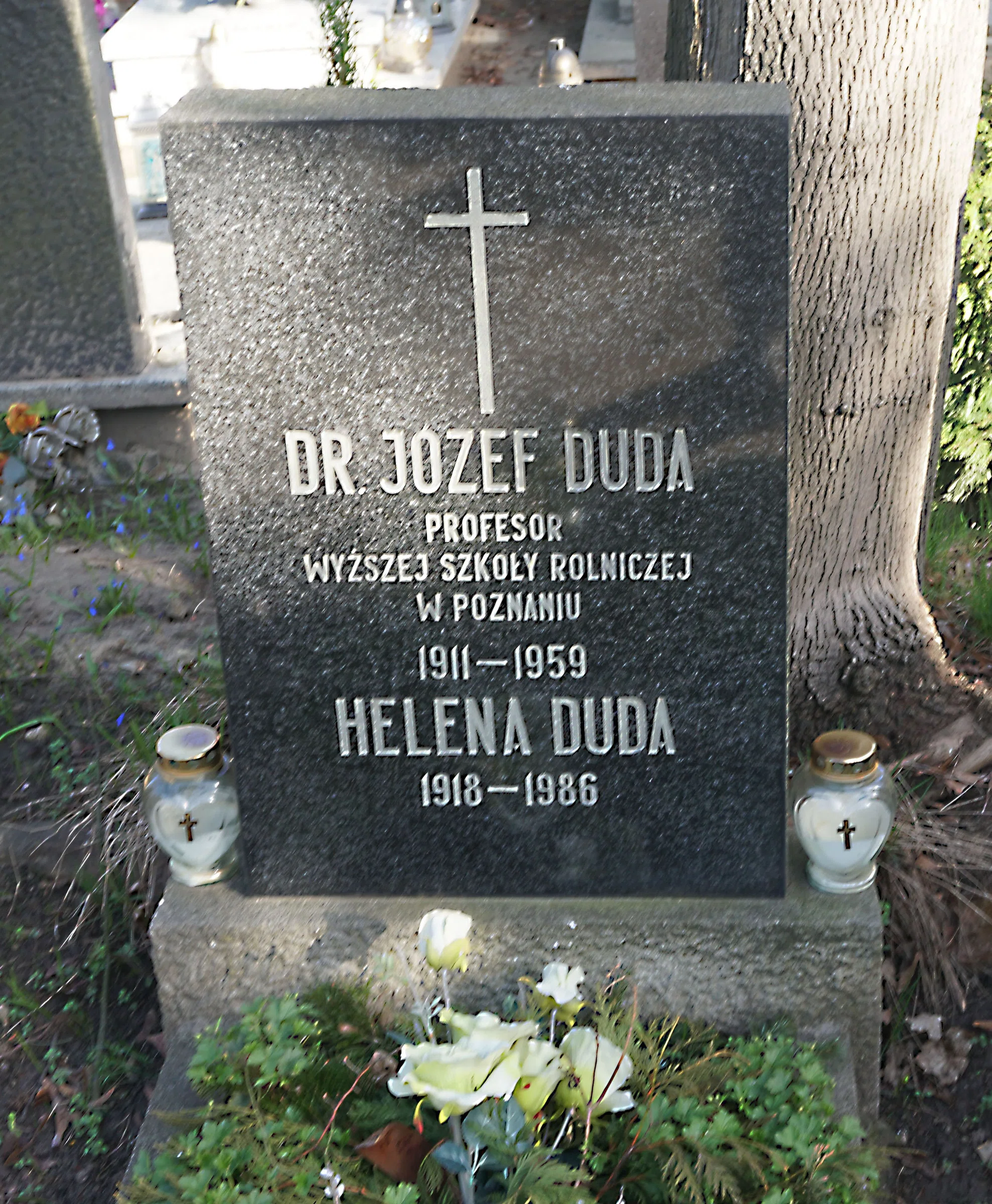 Jean-Marie Vianney cemetery in Poznań