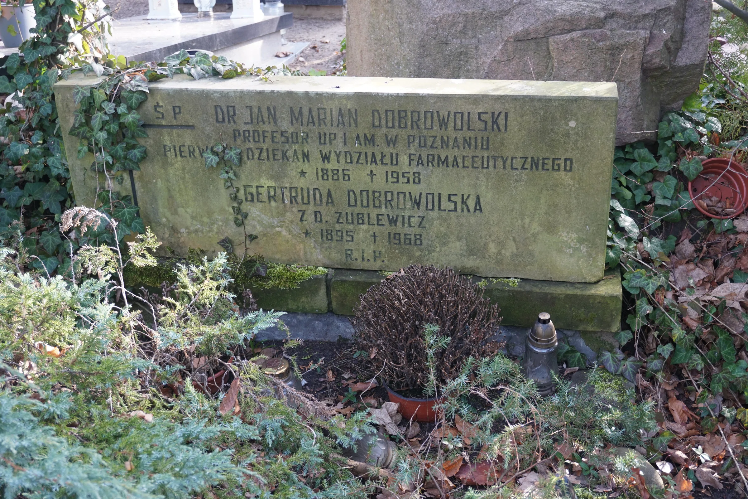 Jean-Marie Vianney cemetery in Poznań