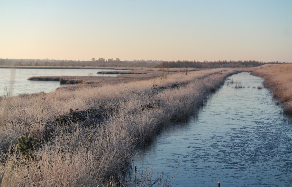 10914 Engbertsdijksvenen hoogveen winter