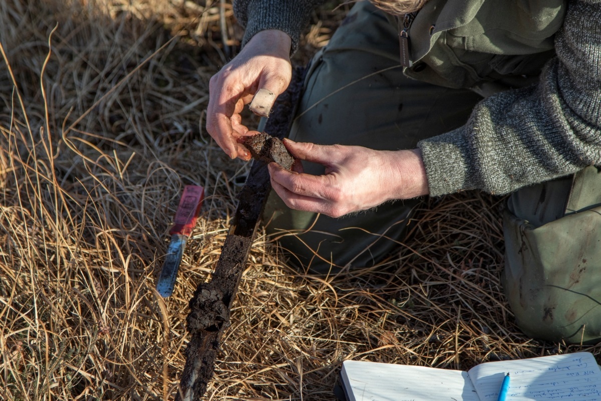 19999 Grondmonsters nemen in hoogveengebied zoeken diepte naar leemlaag