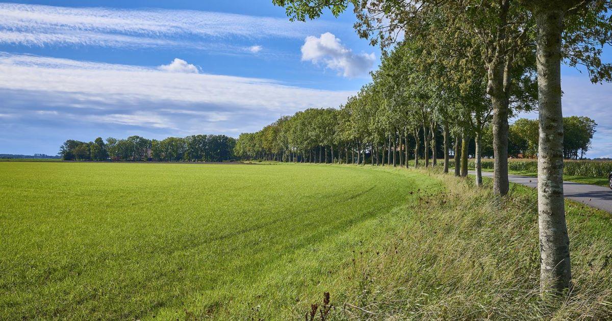 Landschap Weg Jan Hoogweg 30