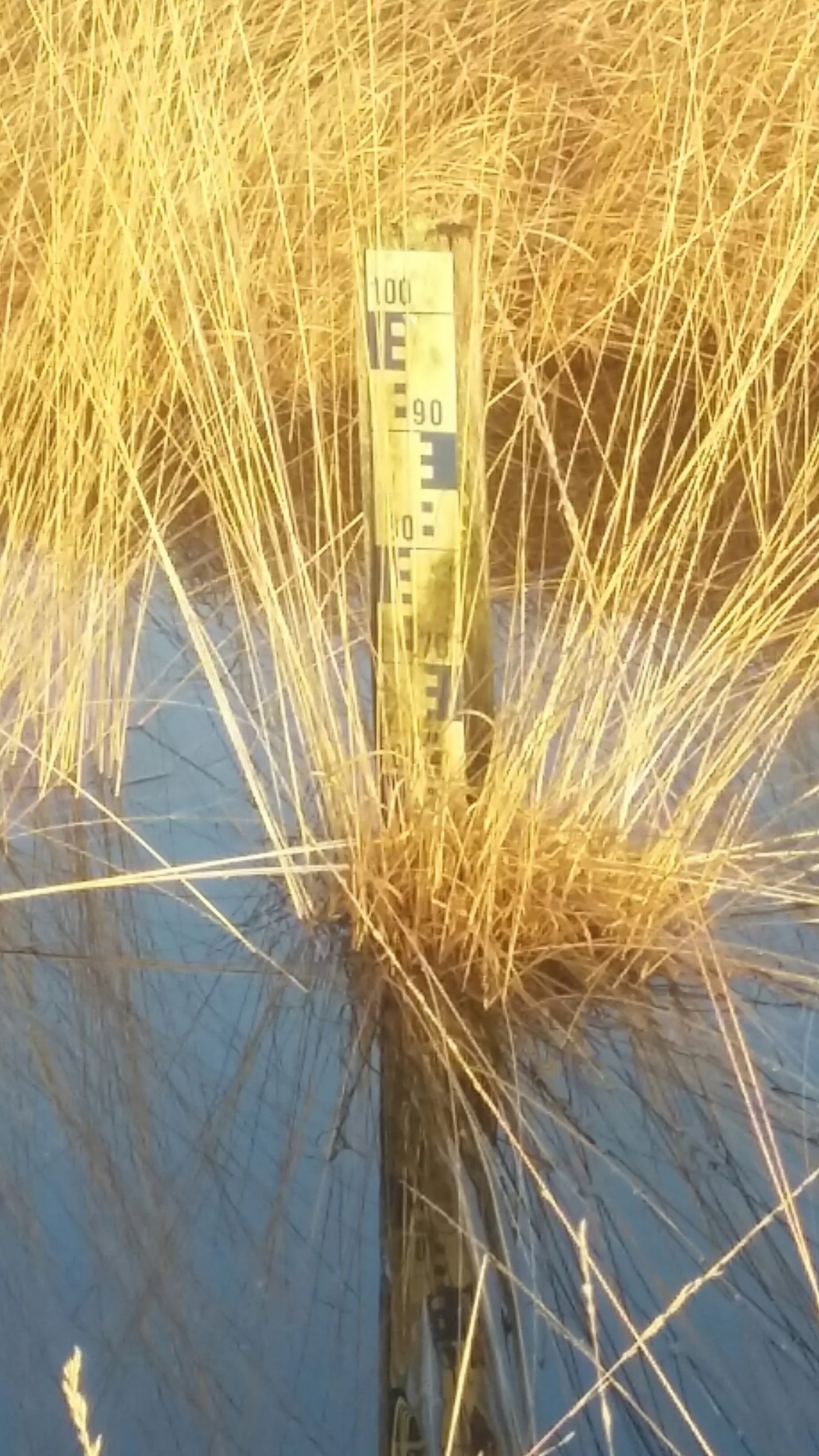 20180111 103513 resized