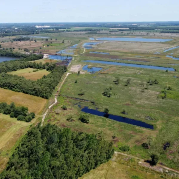 Foto door Gerrit Schepers 2