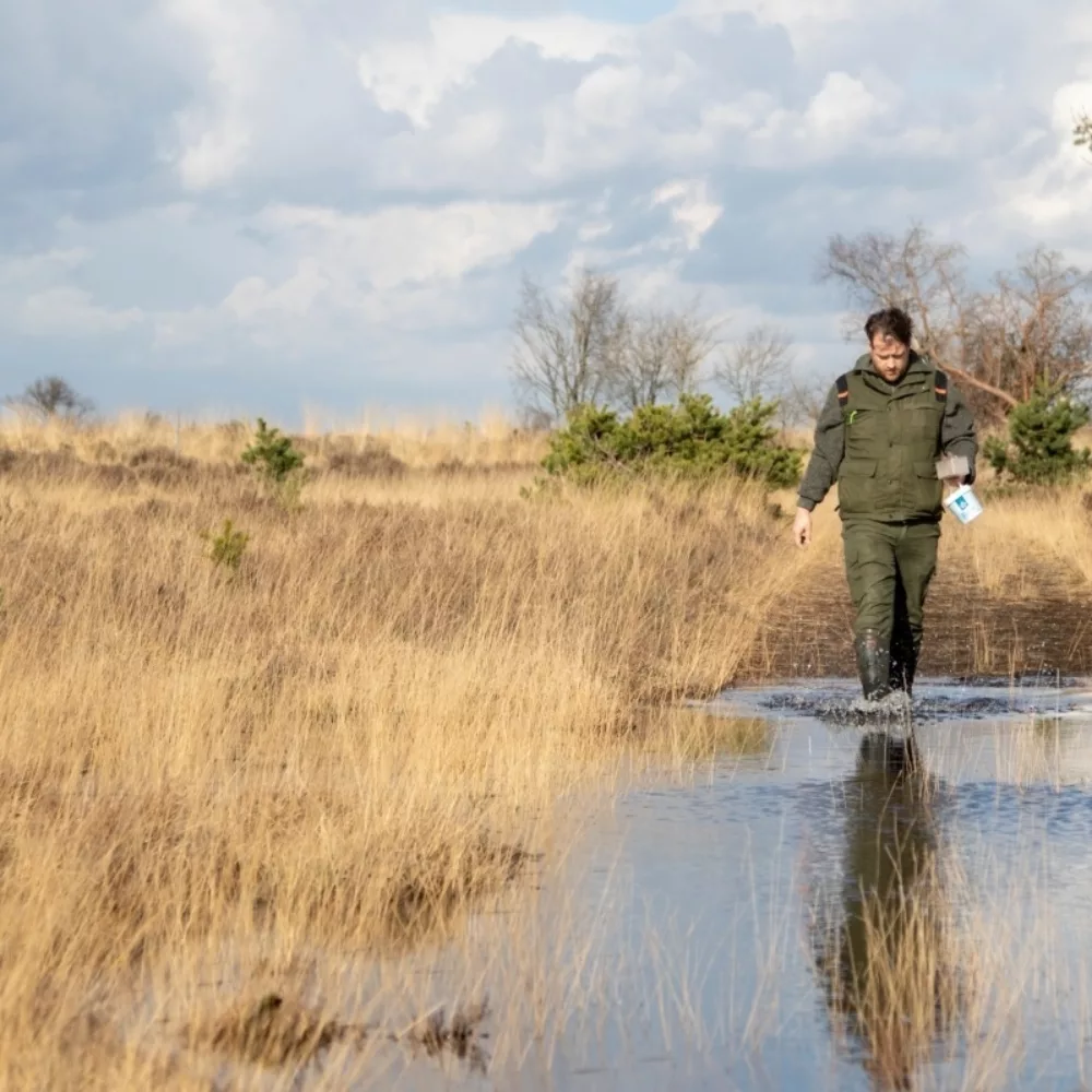 20900 Strabrechtse heide