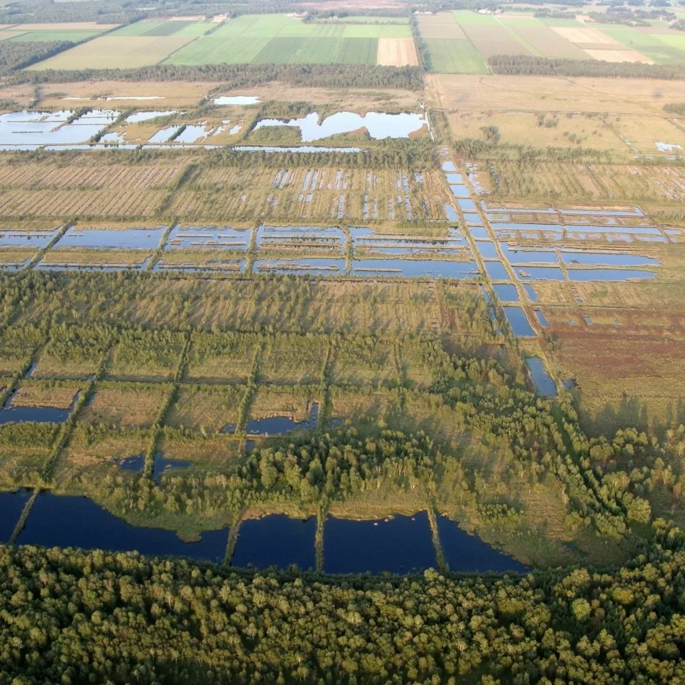 J Klinkhamer Engbertsdijksvenen