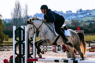 HARRIE DE LAUGNAC AA