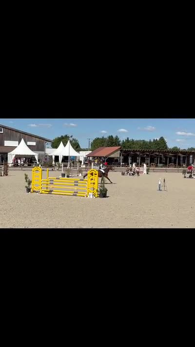 JOLIE MOME RAMPIGNON