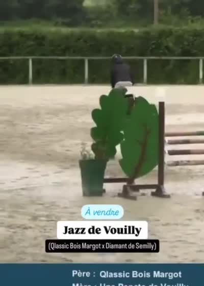JAZZ DE VOUILLY