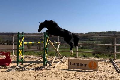 CEZAR DE CHALAMONT Z