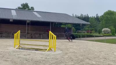 CEZAR DE CHALAMONT Z