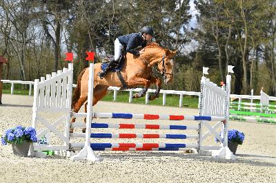NO LIMITS LILI Z