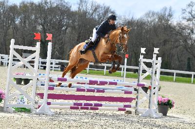 NO LIMITS LILI Z