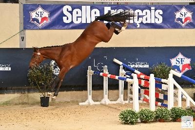 L&#039;ESPRIT D HOUCHES