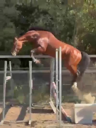 L&#039;ESPRIT D HOUCHES